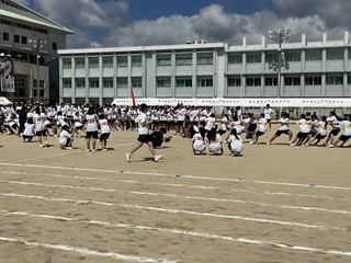 Image_2