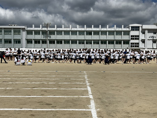 Image_3