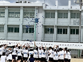Image_5