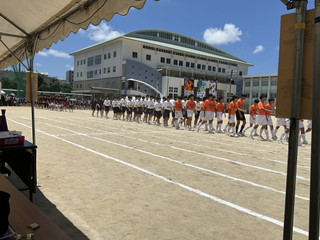 Image_8