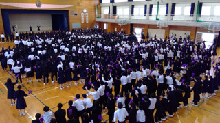 Win_20260413_16_06_29_pro