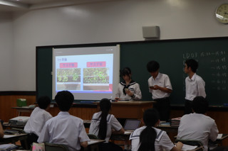 Img_1657 Img_1657