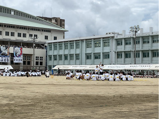 S__15687684