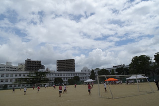 Dsc07480 Dsc07480