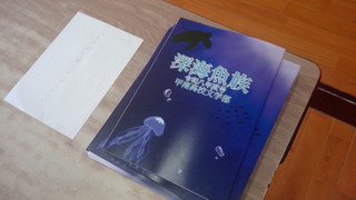 Win_20260919_12_32_56_pro